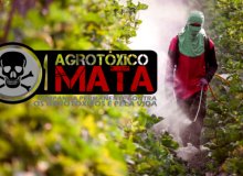 Contac-CUT e Uita realizam seminário nacional sobre meio ambiente e agrotóxicos
